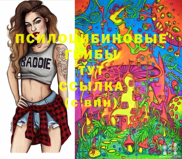 альфа пвп Осинники