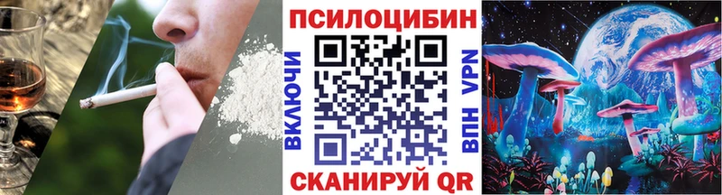 Псилоцибиновые грибы Cubensis что такое Ветлуга